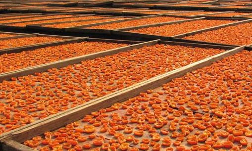 sun-dried-apricots